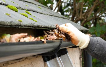 gutter cleaning Rhiews, Shropshire