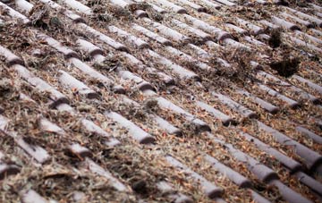 Rhiews roof cleaning companies