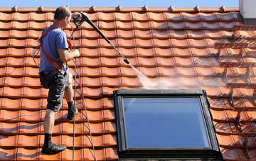 roof cleaning Rhiews, Shropshire