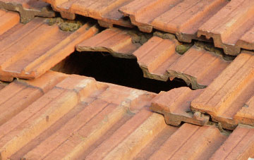 roof repair Rhiews, Shropshire